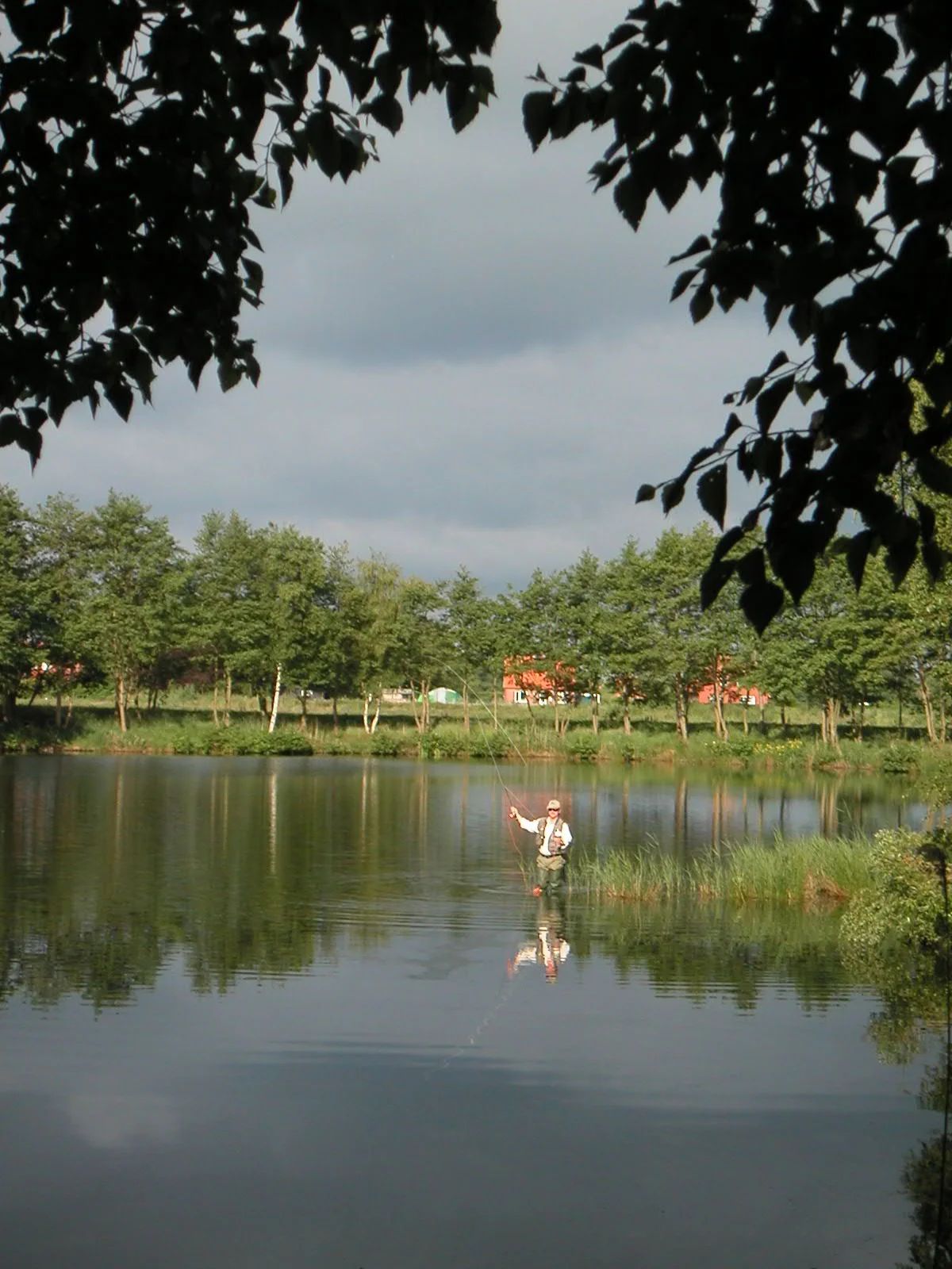Fliegenfische in Ostfriesland