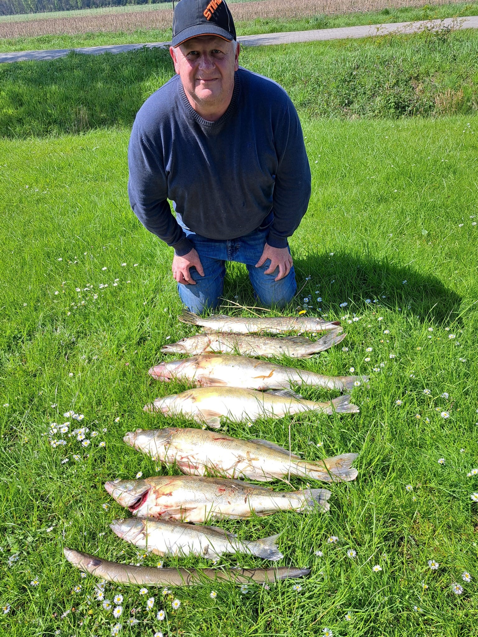 Zander (82 cm), Zander (72 cm), Zander (72 cm), Zander (66 cm), Zander (46 cm), Aal (60 cm) – Holger de Boer